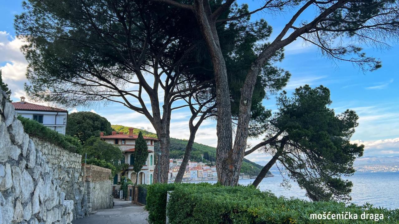 Seaview Croatia - Ena