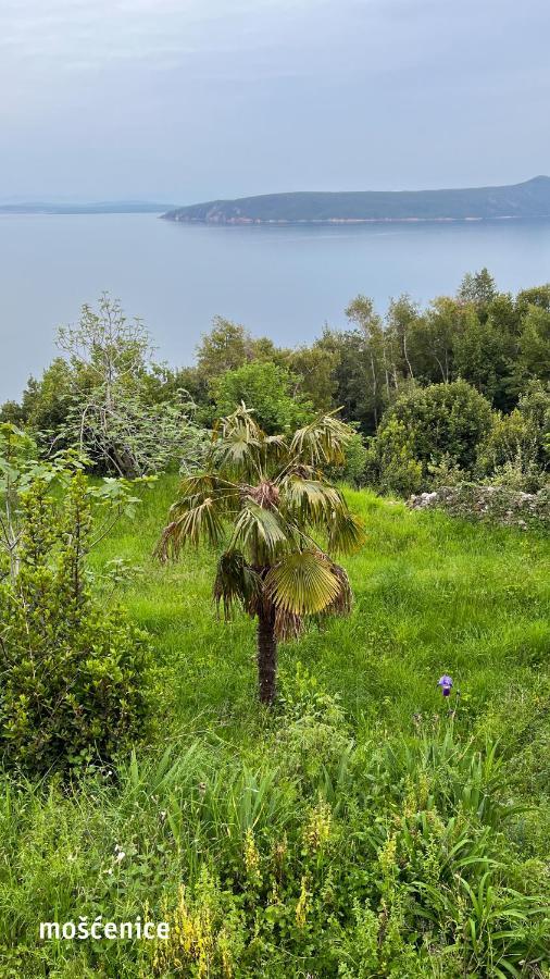 Apartment Seaview Croatia - Ena Moscenicka Draga