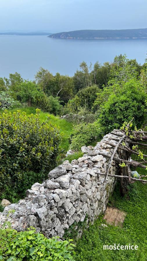 Seaview Croatia - Ena Moscenicka Draga
