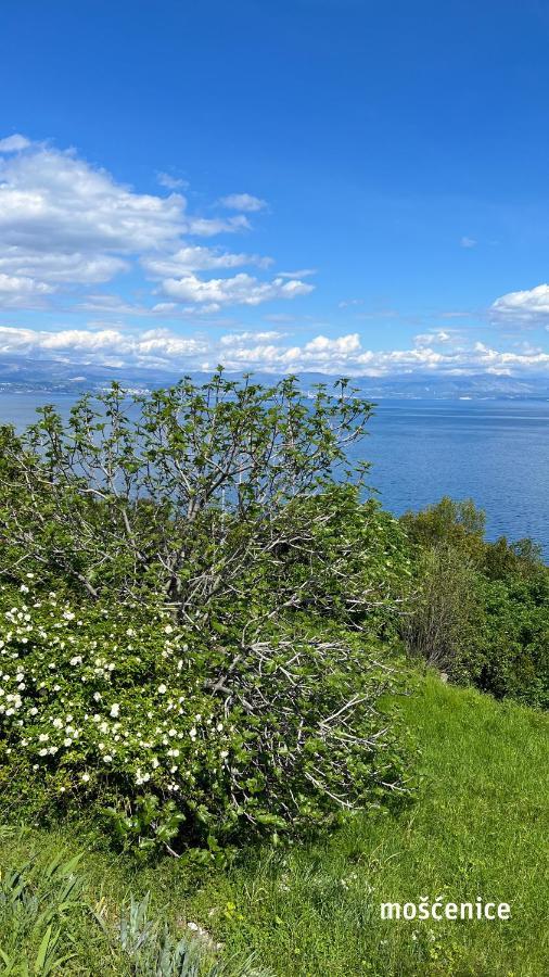 Seaview Croatia - Ena *