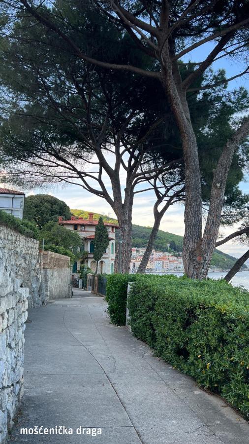 Seaview Croatia - Ena
